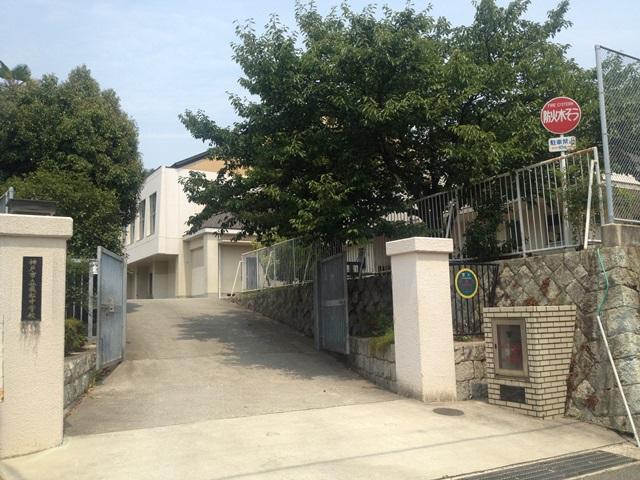 Junior high school. 280m to Kobe City Tobimatsu junior high school