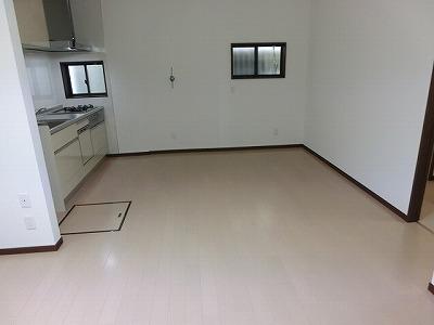 Living. Room (August 2013) Shooting