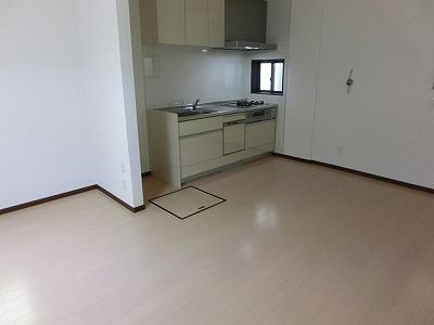 Kitchen. Room (August 2013) Shooting