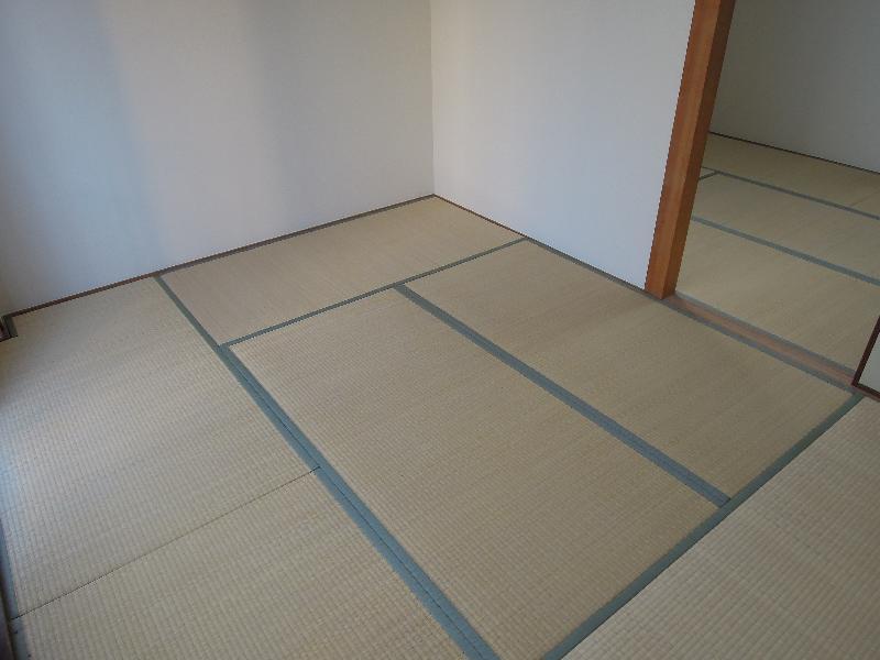 Living and room. Japanese-style room (south side)
