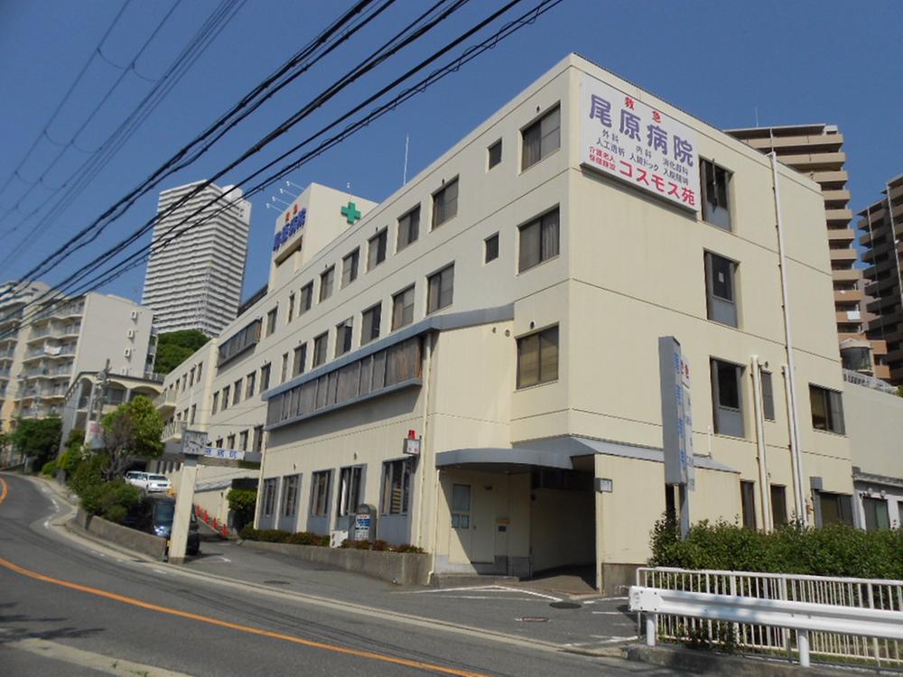 Hospital. Ohara 250m to the hospital