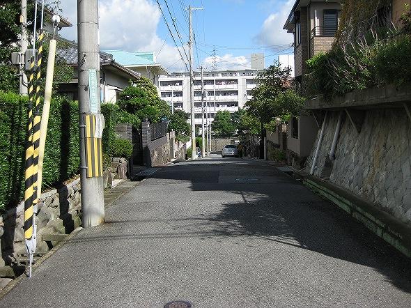 Local photos, including front road. Local (10 May 2013) Shooting