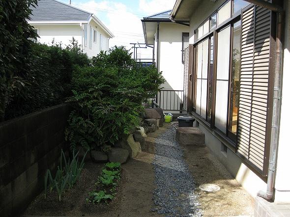 Garden. Local (10 May 2013) Shooting