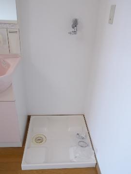 Other room space. Laundry Area