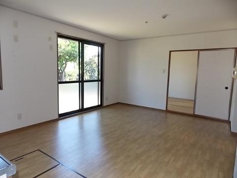 Living and room. Living