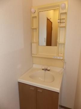 Washroom. Bathroom vanity