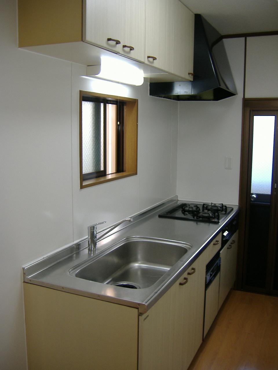 Kitchen. Kitchen paneled. Faucets exchange. Ventilation fan exchange (within the range hood)
