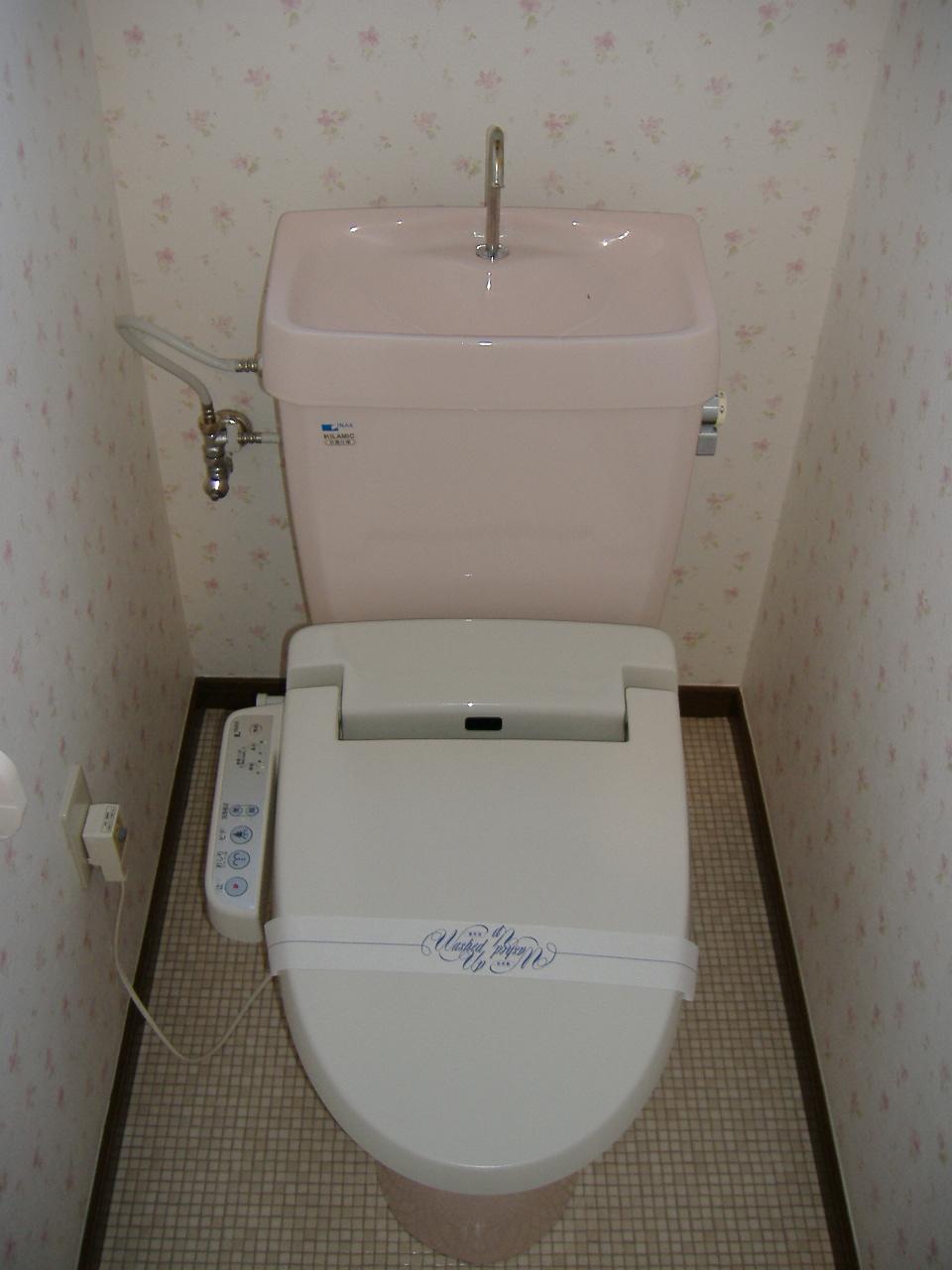 Toilet. Washlet exchange.
