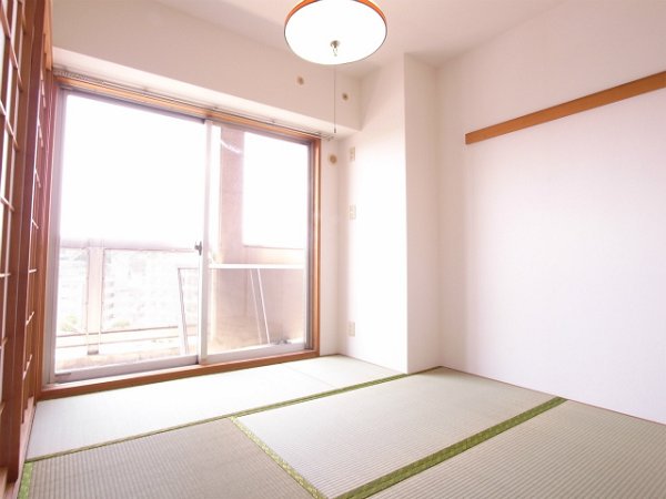 Other room space. Japanese style room
