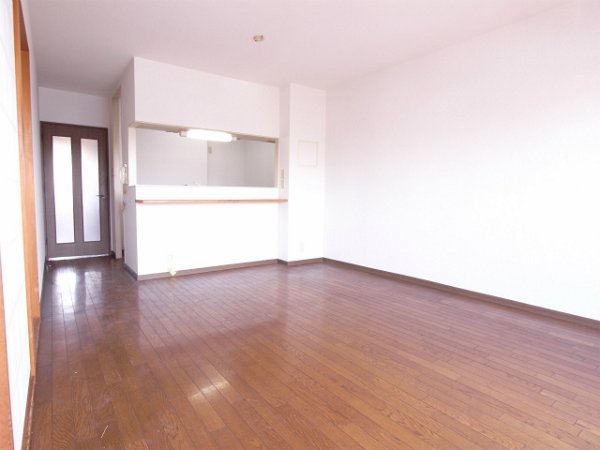 Living and room. LDK