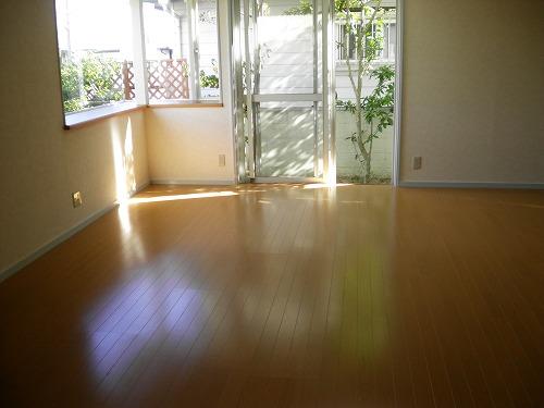 Living. Indoor (10 May 2013) Shooting