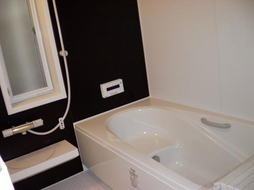 Bathroom. Indoor (10 May 2013) Shooting