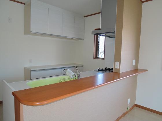 Kitchen. Indoor (11 May 2013) Shooting