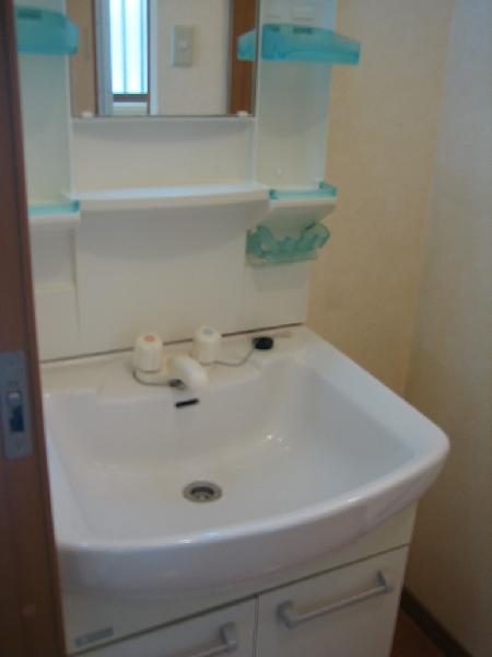 Washroom. Bathroom vanity
