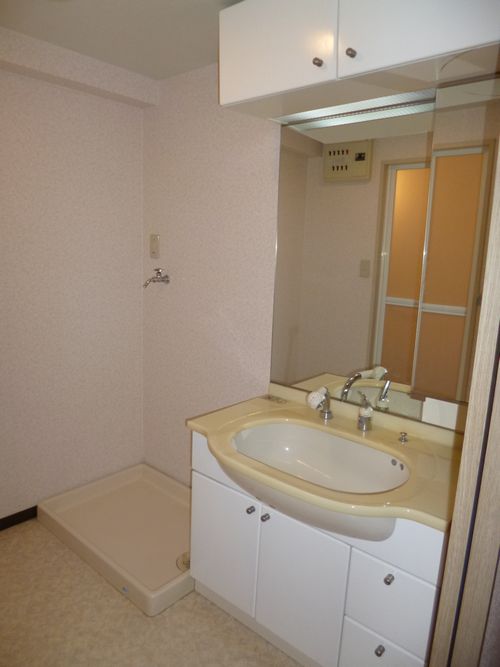 Washroom. There shampoo dresser.