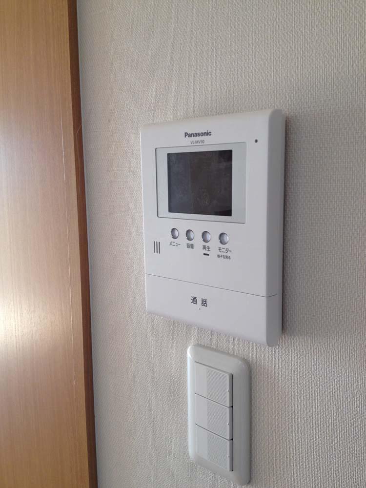 Other introspection. Intercom with a color monitor