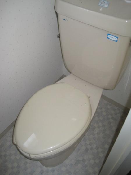 Toilet. Bright Japanese-style room