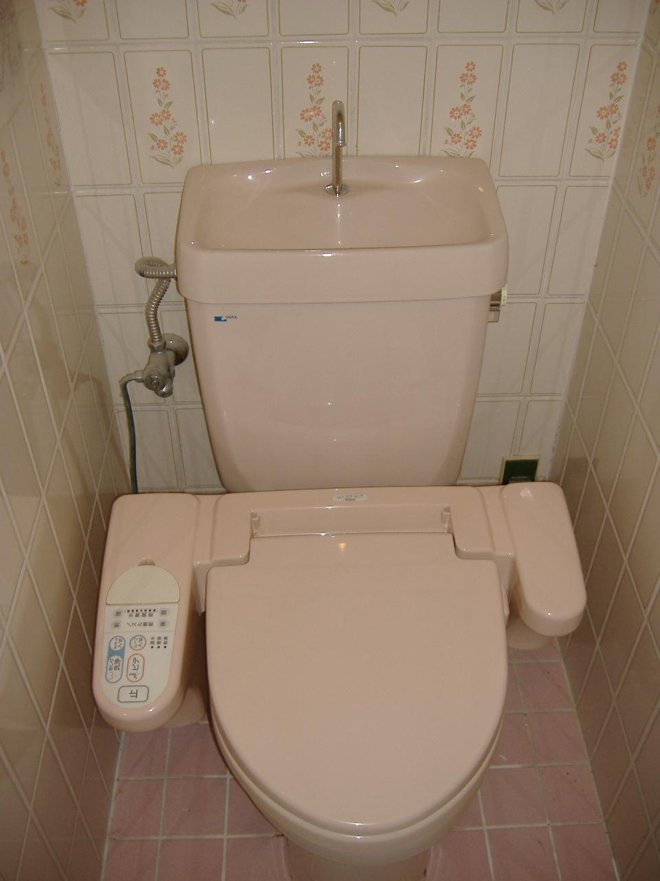 Toilet. Bidet