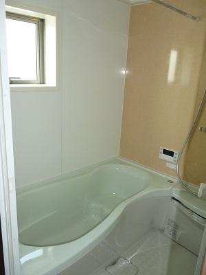 Bathroom. Local (July 2013) Shooting