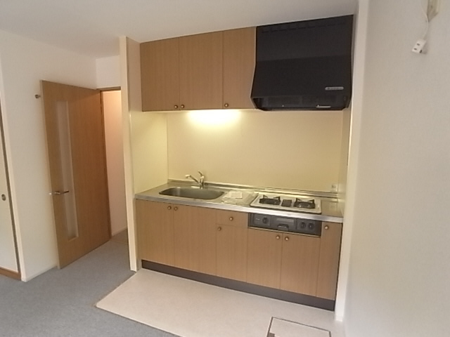 Kitchen. System kitchen (gas 2 burners)