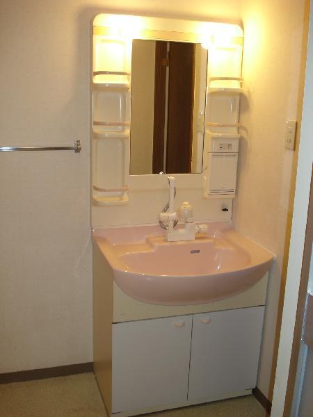 Washroom. Shampoo dresser