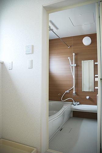 Bathroom. Indoor (12 May 2012) shooting