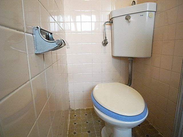 Toilet
