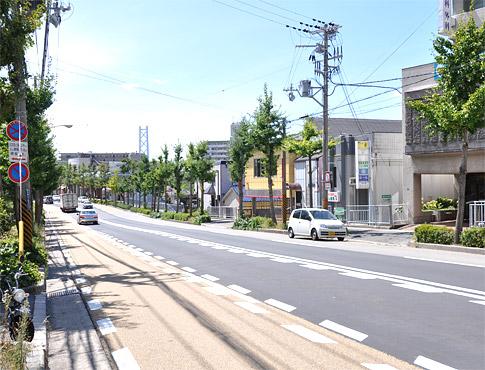 Other local. Beautiful tree-lined street in the immediate vicinity of the local. I will be looking forward to every day because the coloring is changed depending on the season