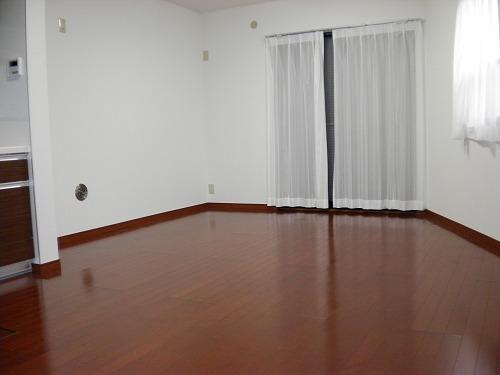 Living. Indoor (10 May 2013) Shooting