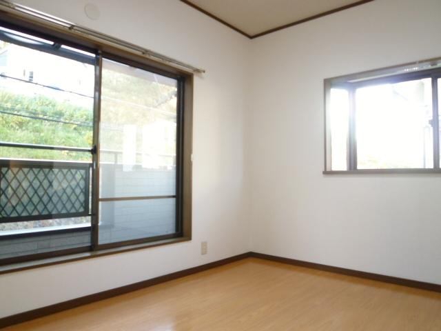 Other introspection. South Western-style