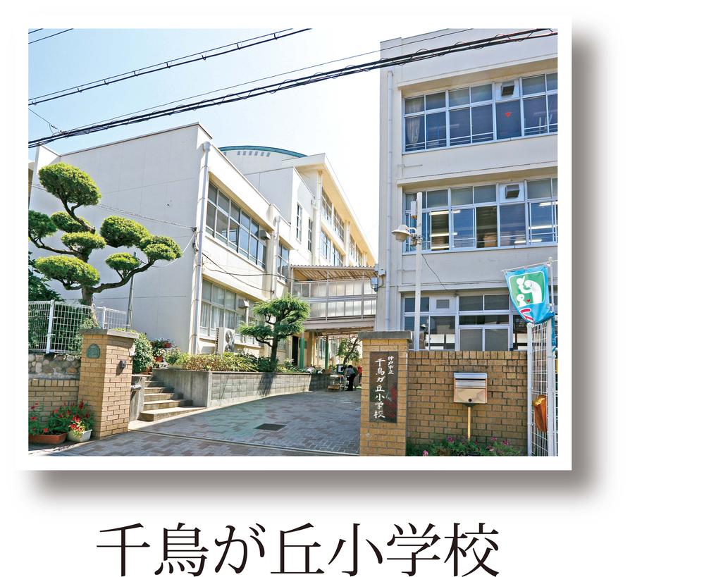 Primary school. Chidorigaoka elementary school