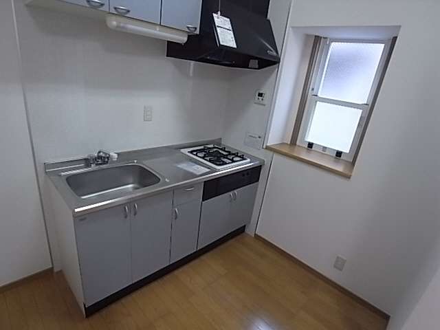 Kitchen. System kitchen (gas 2 burners)