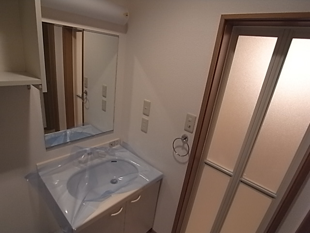 Washroom. Shampoo dresser