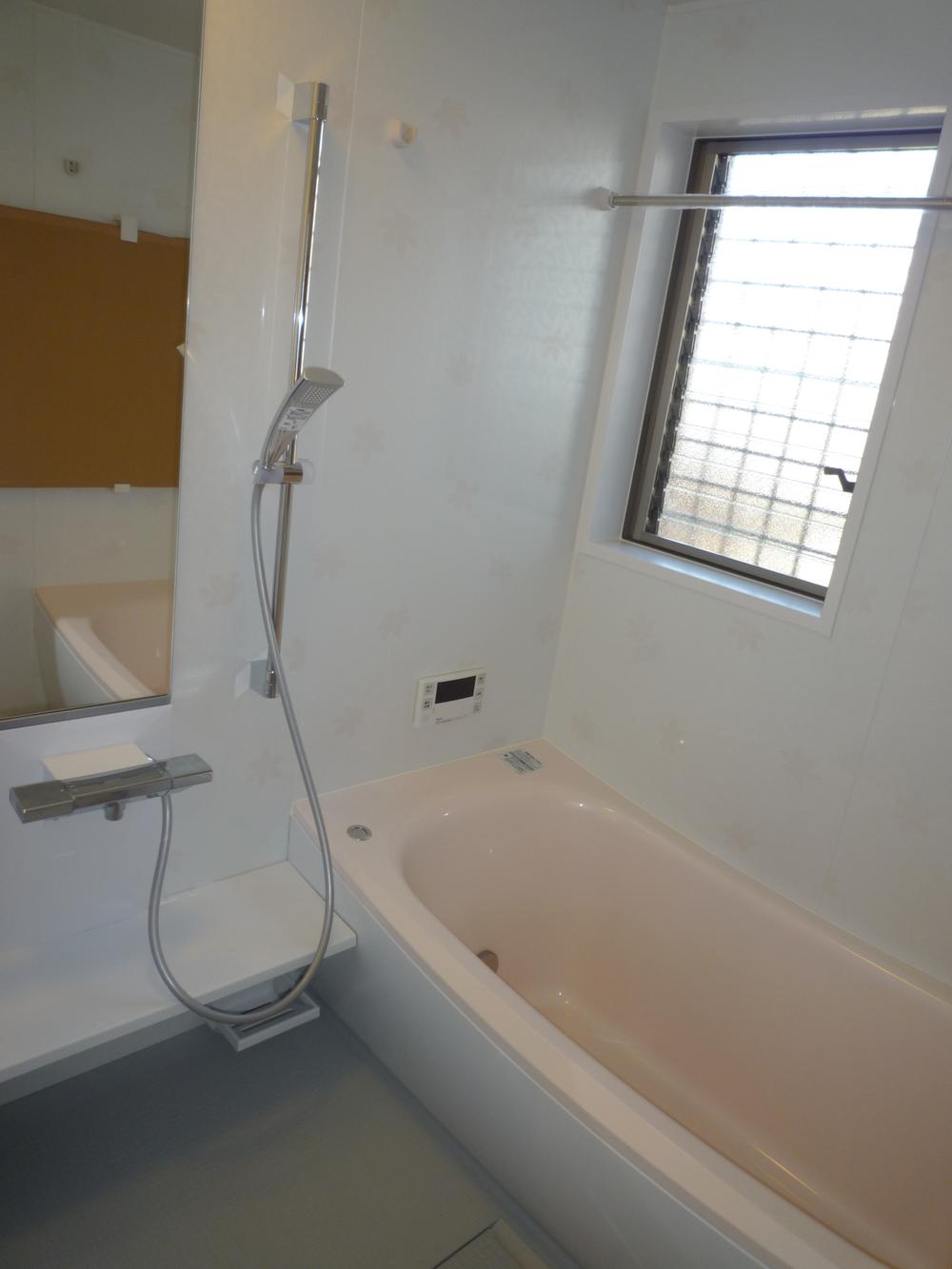 Bathroom. Indoor (11 May 2013) Shooting