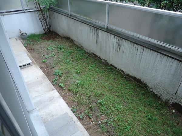 Garden. Private garden