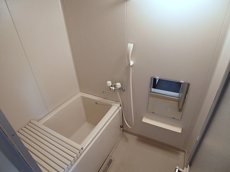 Bath. Also spacious bathroom