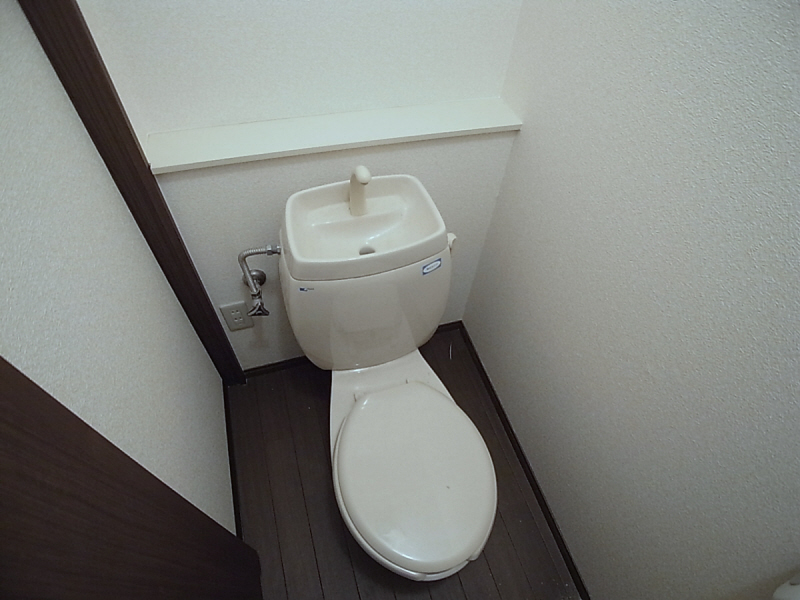 Toilet. Toilet