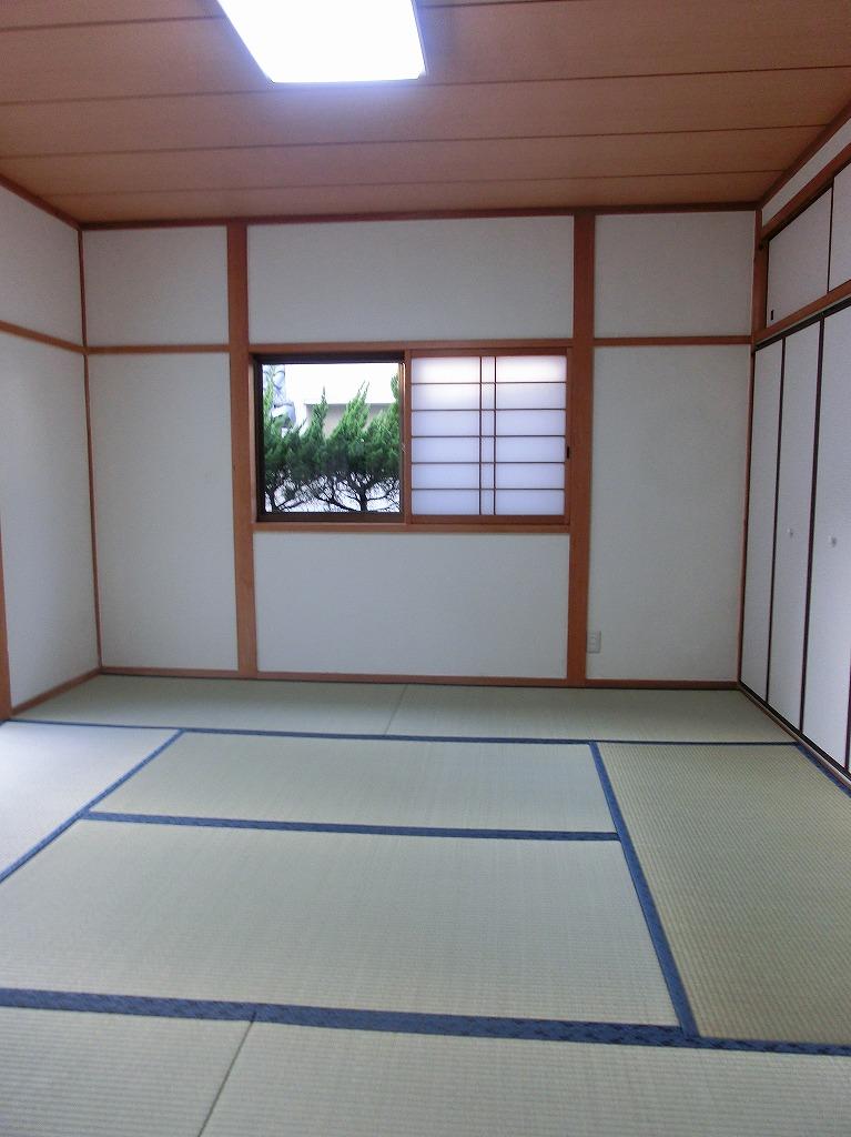 Other introspection. Indoor (10 May 2013) Shooting