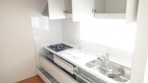 Kitchen. It is face-to-face system kitchen bounce of dialogue