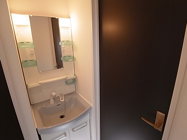 Washroom. Shampoo dresser