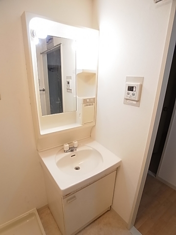 Washroom. Independent washroom type of wash room