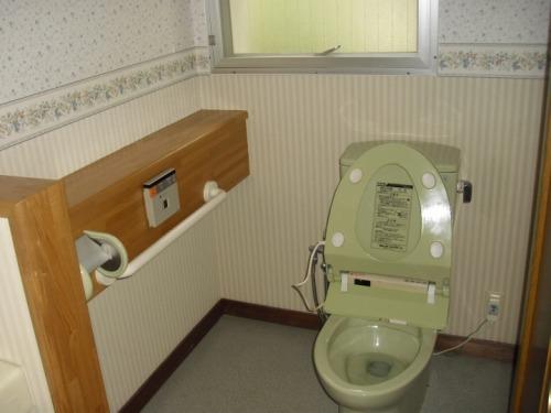 Toilet. Indoor (11 May 2013) Shooting