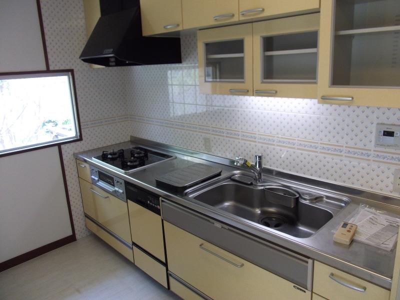 Kitchen. Room (August 2013) Shooting