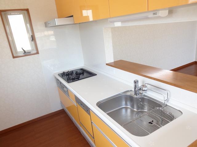 Kitchen. Indoor (June 2013) Shooting