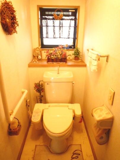 Toilet. Indoor (September 2013) Shooting