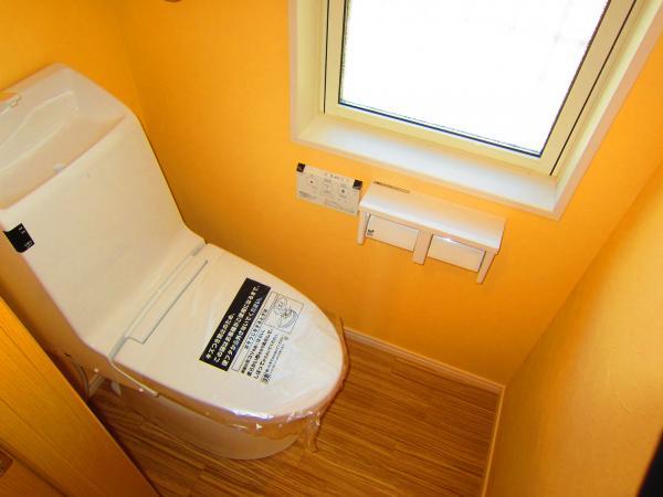 Toilet. Washlet toilet