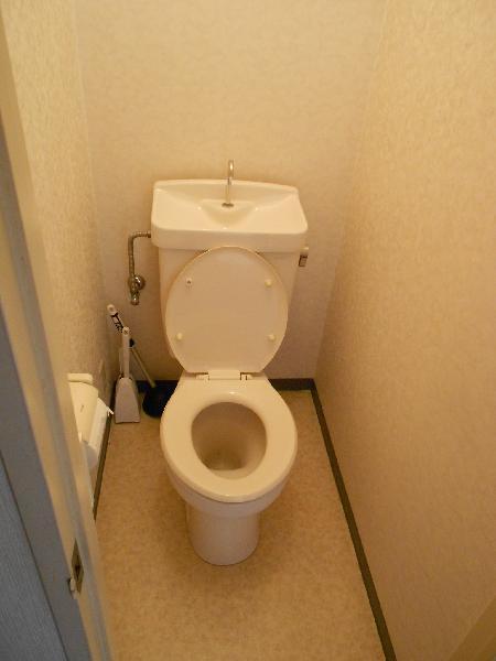 Toilet. Toilet