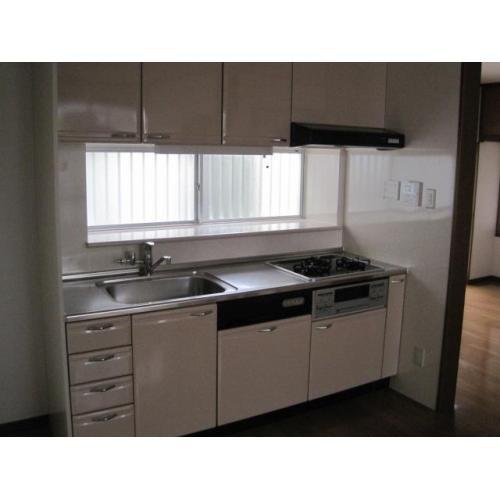 Kitchen. Indoor (10 May 2013) Shooting