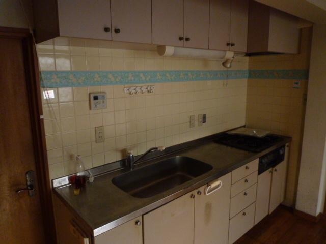 Kitchen. Indoor (11 May 2013) Shooting