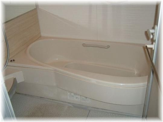 Local appearance photo. Bathroom